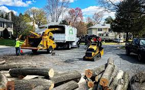  Mountain Home, ID Tree Services Pros